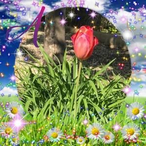 Meet your Posher, Ann